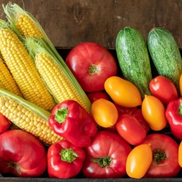 A basket of late summer produce, including corn, squash, tomatoes and peppers